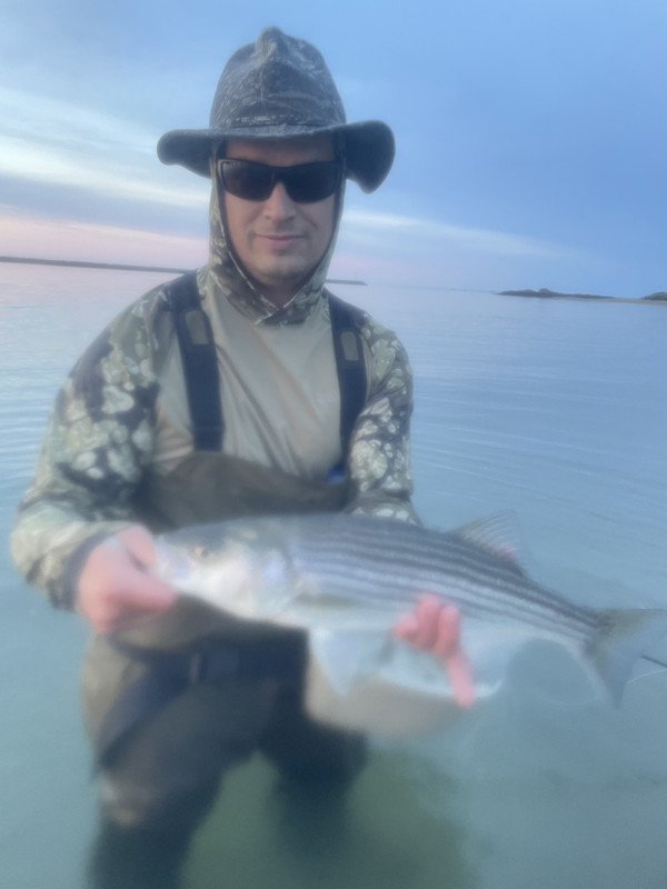 2DE56388-825B-4323-83BE-EB349F5F3525