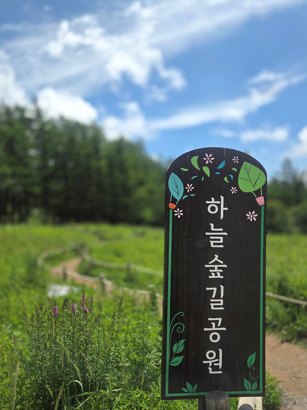 Kakao-Talk-20260726-095017919-13