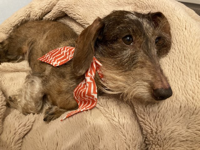 [Image: 8596-A6-CC-0766-48-FA-91-F2-DE65-D1-F70-FC3.jpg]