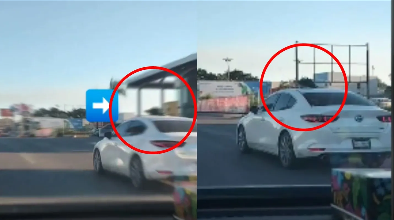 Árbol de Navidad en Tampico se hace viral por diminuto