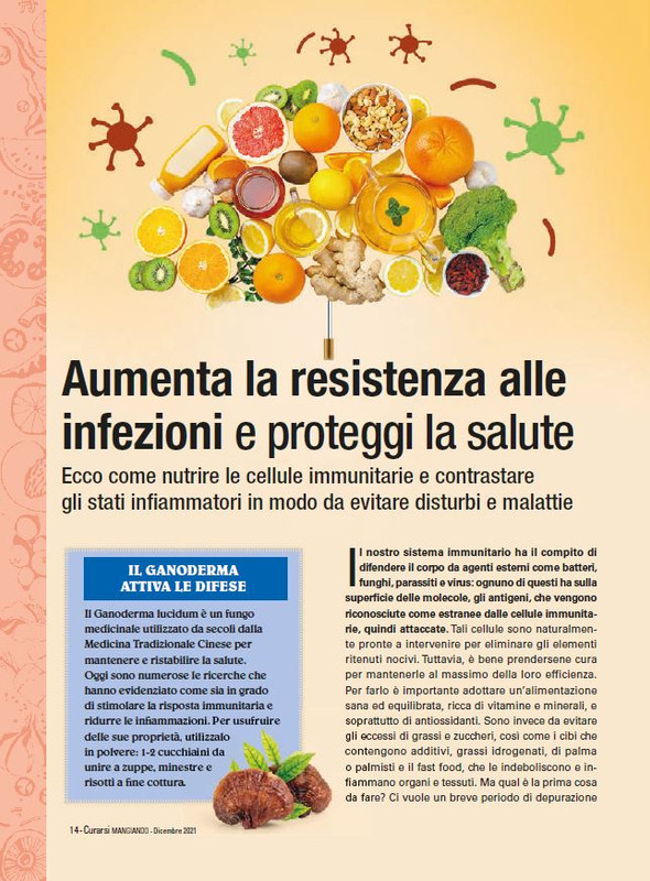 Cur Mang Dic 2021 (1)