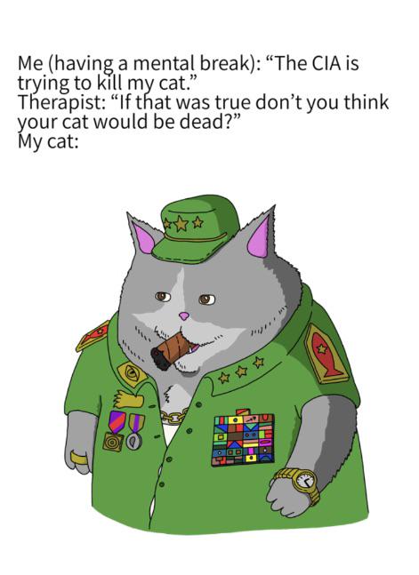 The-CIA-Is-Trying-To-Kill-My-Cat.jpg