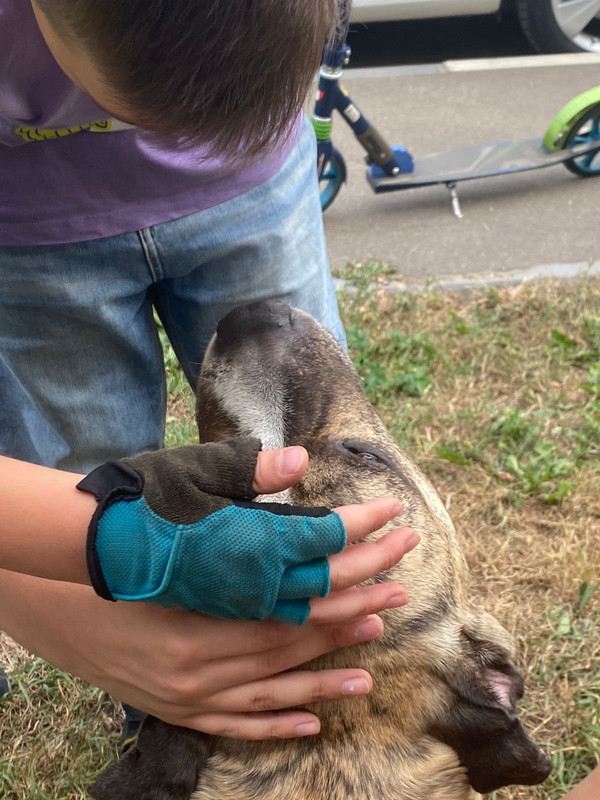 C47CF5ED-3F2B-488A-8F80-72717CD1D737