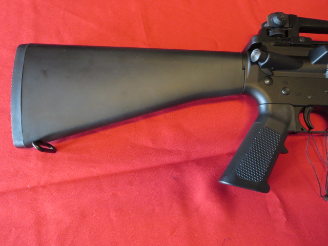 Waff-ank-Clearwater-062