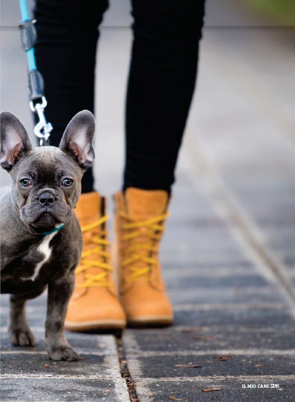 Il M C Dic 2022-Gen 2023 (4)