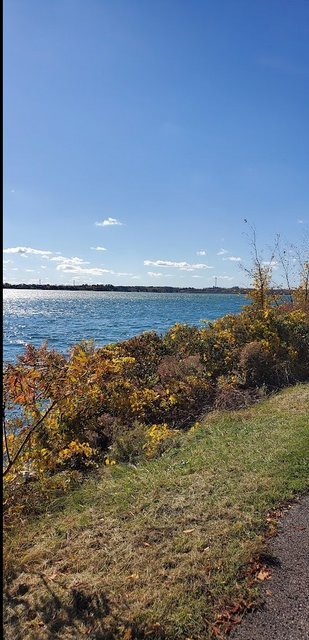 [Image: 20231022-NYNiagara-River.jpg]