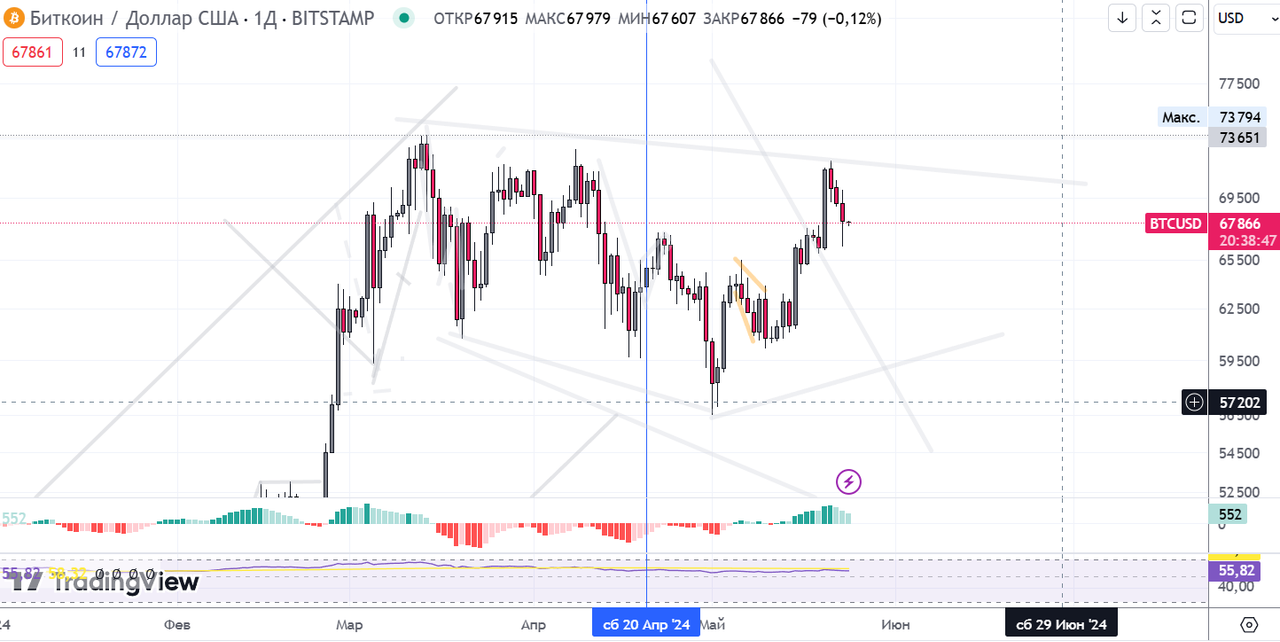 биток дневки