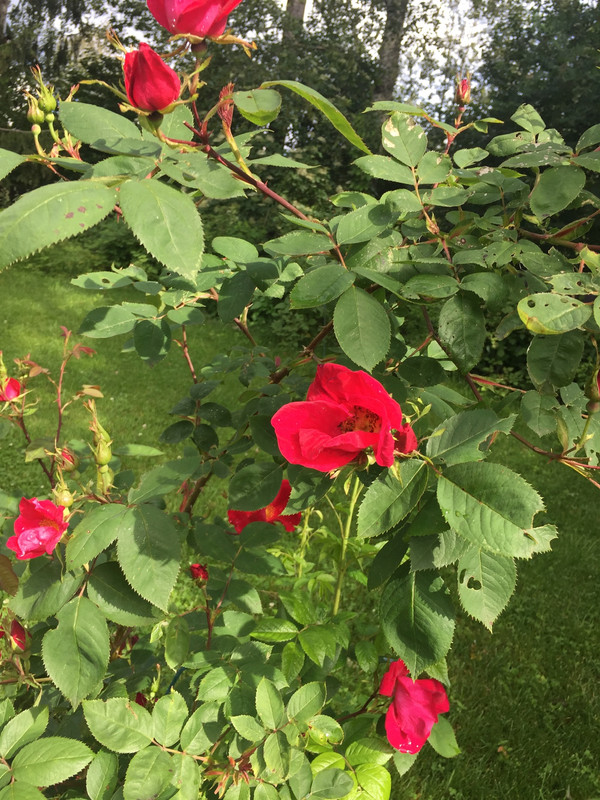 E676CDEF-0B51-432E-8F86-21FD8A6866C1