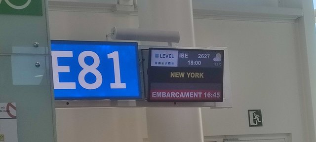 Nueva York y Cataratas del Niágara 2023 - Blogs de America Norte - Llegamos a la gran manzana. (4)