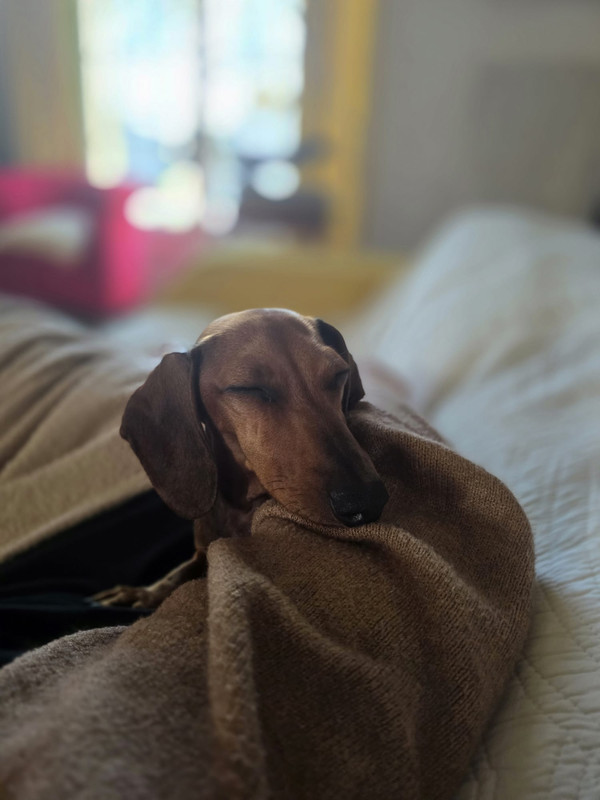 [Image: IMG-20251012-WA0004.jpg]