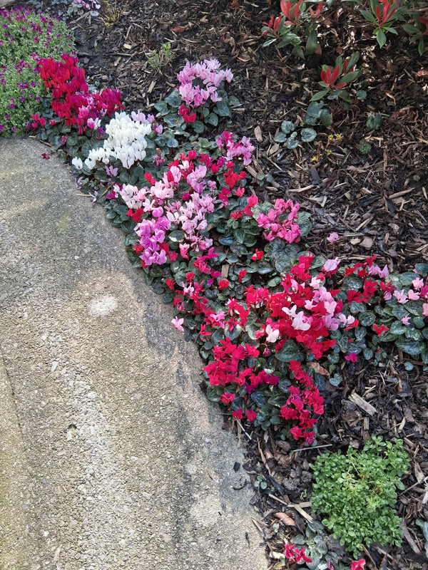 att g Xymobwpbg2Rpu CY8neg DEym59QI7u78fz Ds AJRn Ns