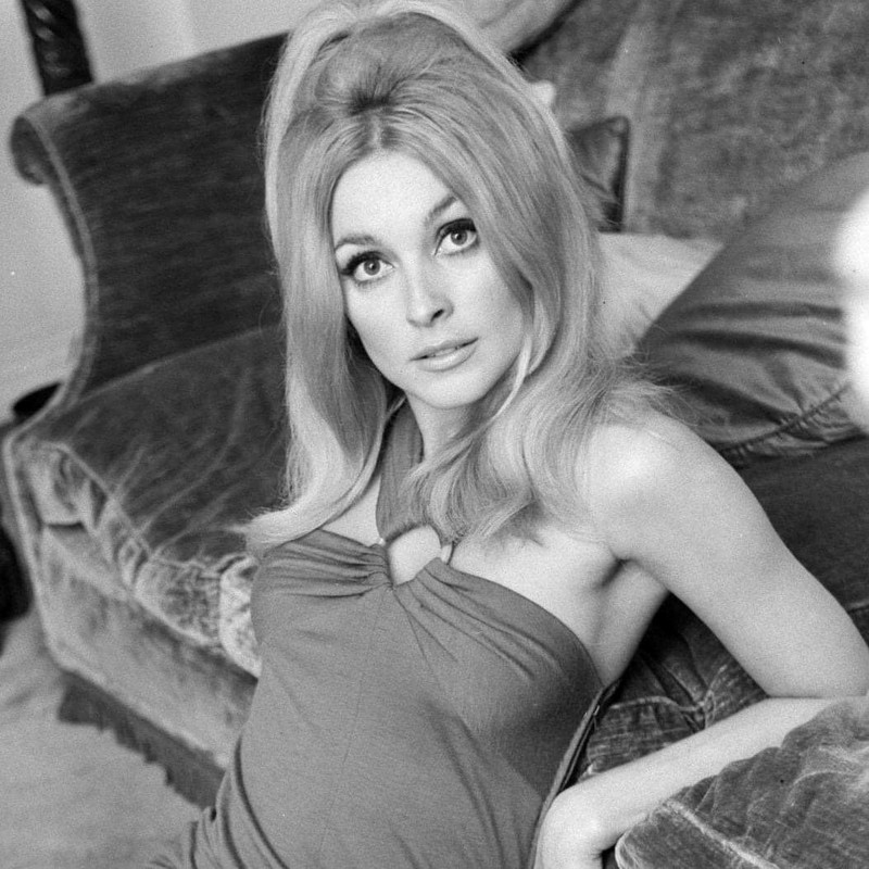 sharon_tate_md92