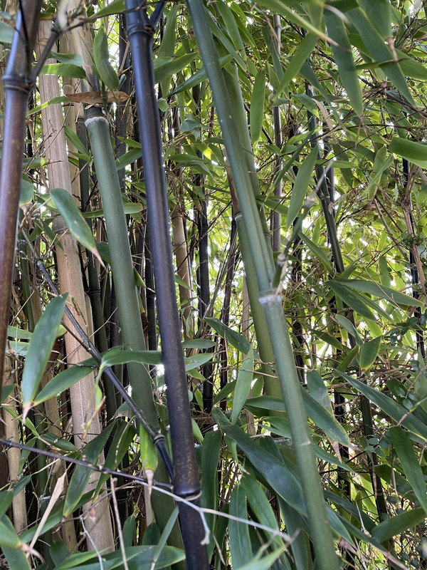 19266563-01D1-4399-AF55-D0679FC6E6E6