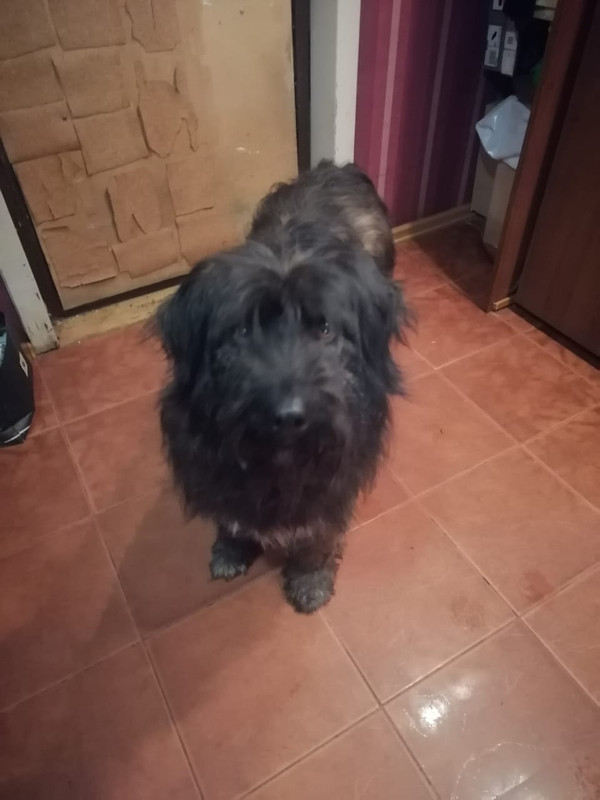 8A2F73AE-9658-4F2B-A498-64649A234B2F