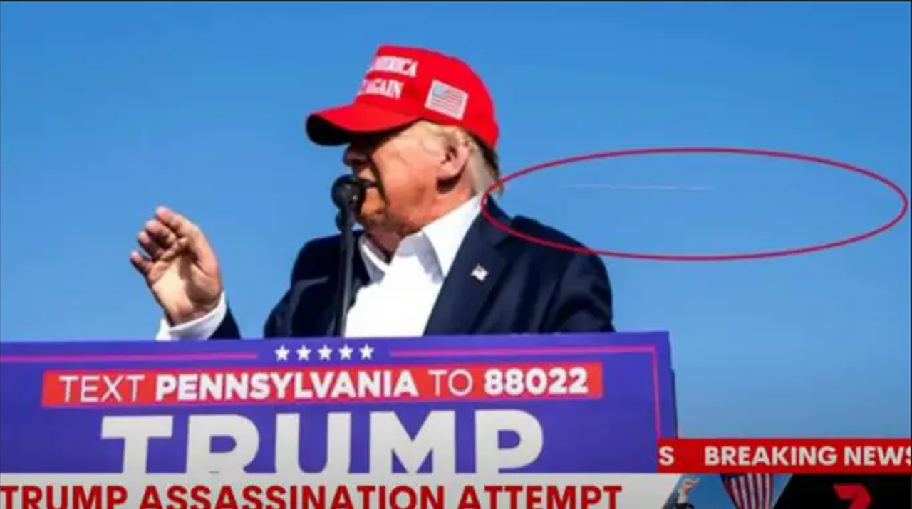 изображение_2024-07-16_020112147