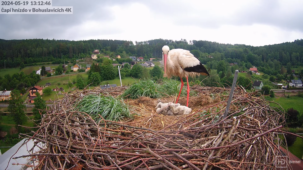 Tiešraidē no uzņēmuma KARA stārķa skursteņa Bohuslavicē pie Trutnovas 12-1-26 screenshot