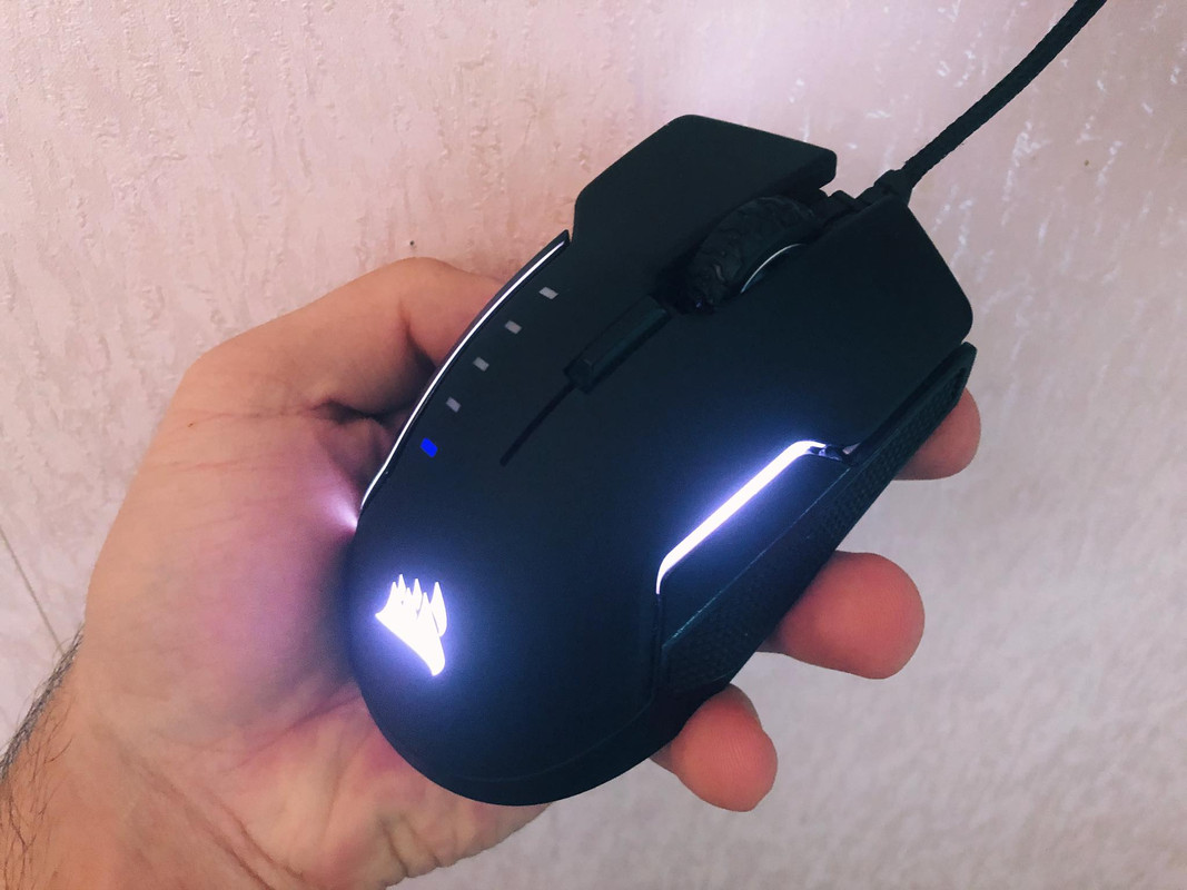 82892523-490423344947785-212828505828753