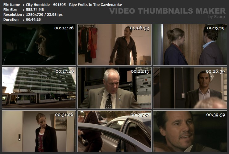 City Homicide - S01E05 - Ripe Fruits In The Garden.mkv