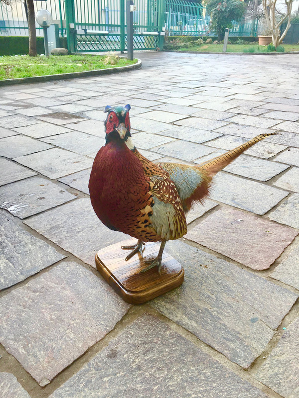 FB519365-1CC4-4E28-BC78-70CB795472C6