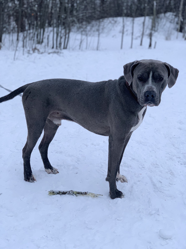 ECF4B474-45F2-48F8-8B6D-C941A05F7490