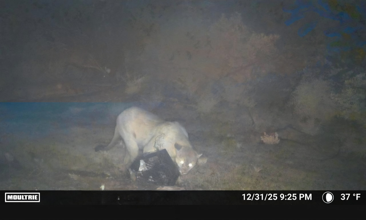 Screenshot 20260101 070122