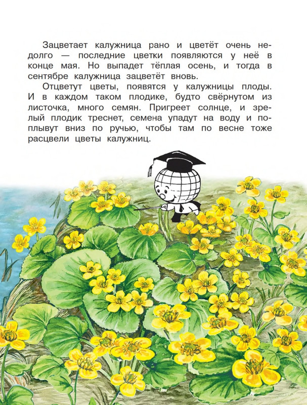 Onegov-Anatolij-Pochemu-kukushka-slozki-lot-page-0008