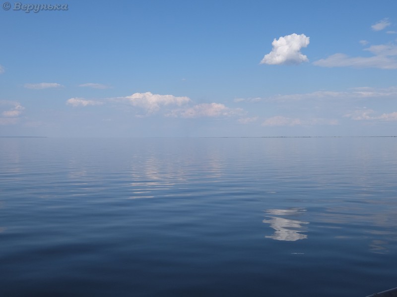 DSCF5750