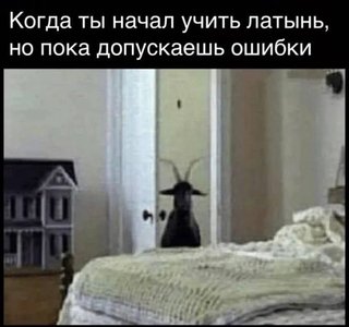 https://i.postimg.cc/4x5S1Cy6/hd-Hn-Zoqo-HE.jpg