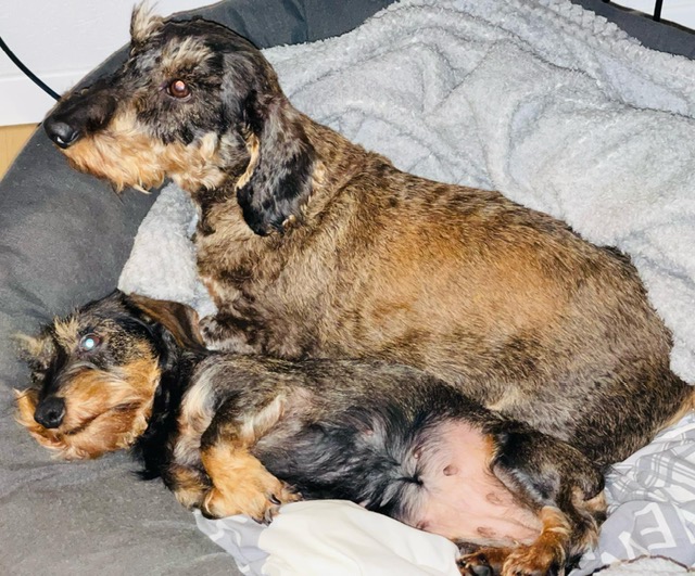 [Image: fe2a6f47-35cc-459a-98f8-bd8f6ac4eb86.jpg]