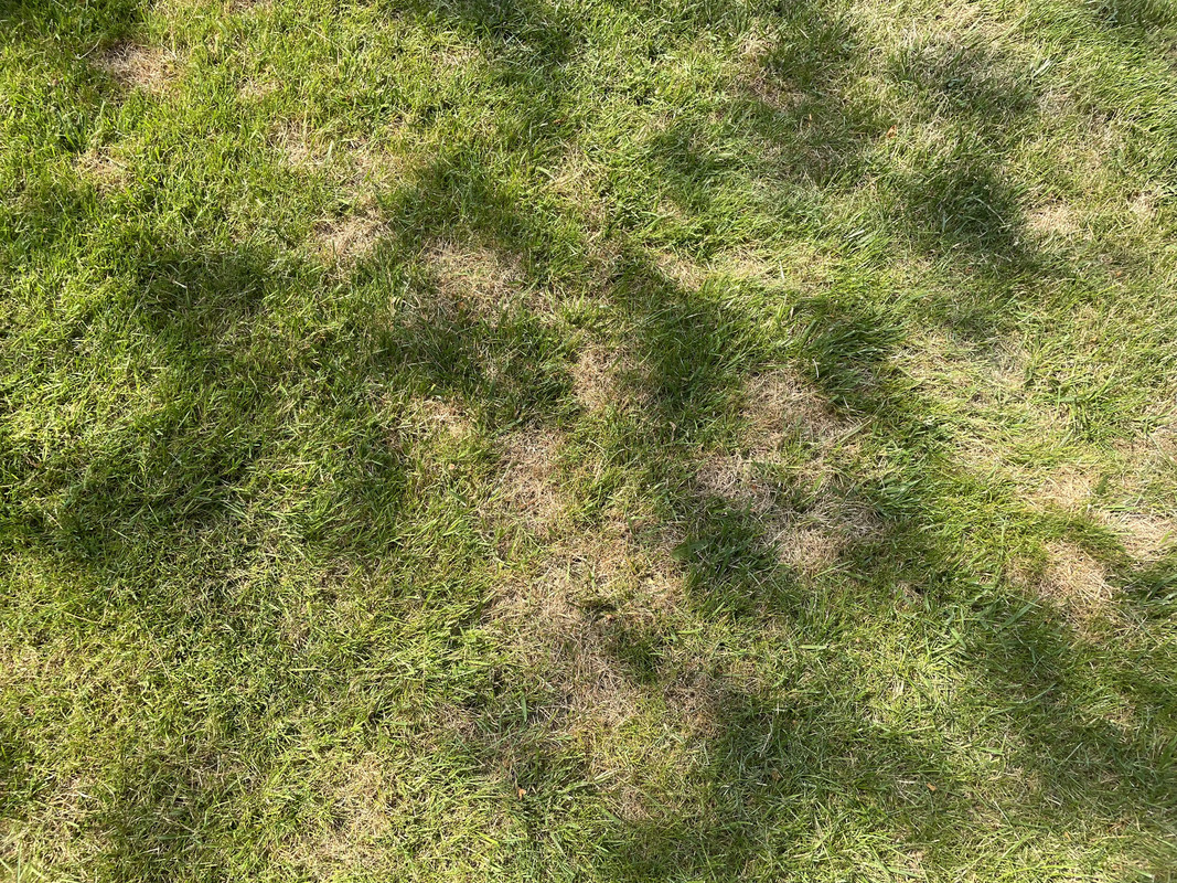 C4029A41-171C-4A7F-A4B5-D919184CA23A