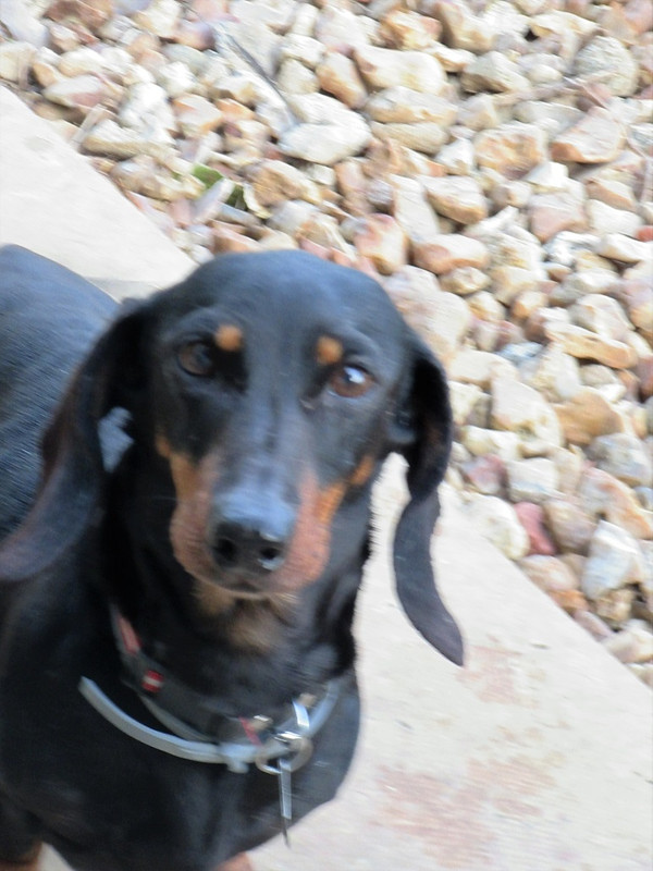 [Image: IMG-0869.jpg]