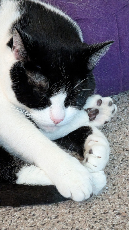 PXL 20260422 165410524