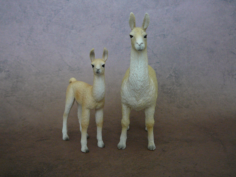 Mojö 2019 Llama and Cria- a walkaround by A.R.Garcia P1090600ed