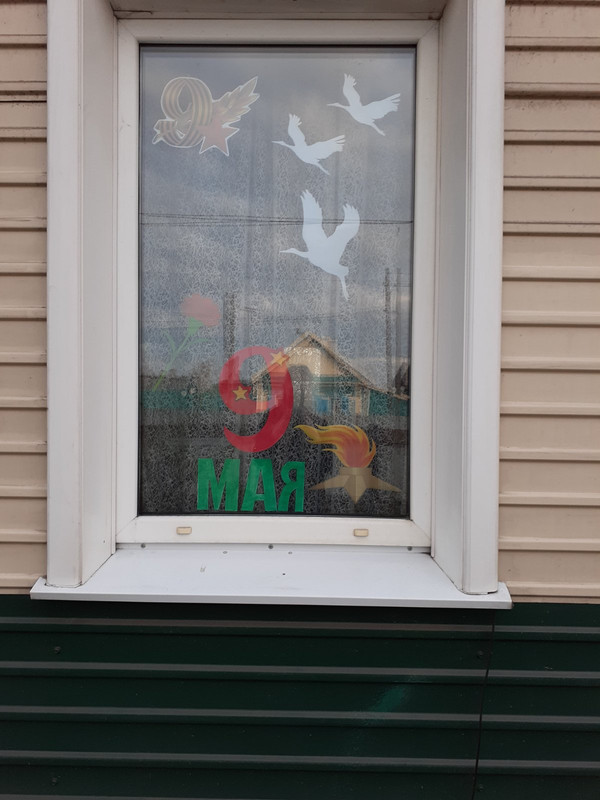 зыкова вероника