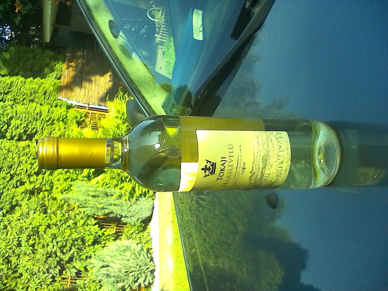 [Obrazek: 5bc08837418679a4.jpg]