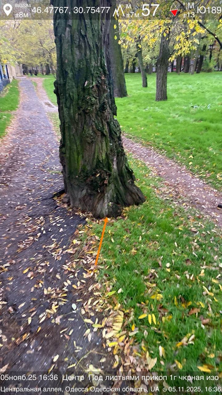 photo 2025 11 05 16 41 13