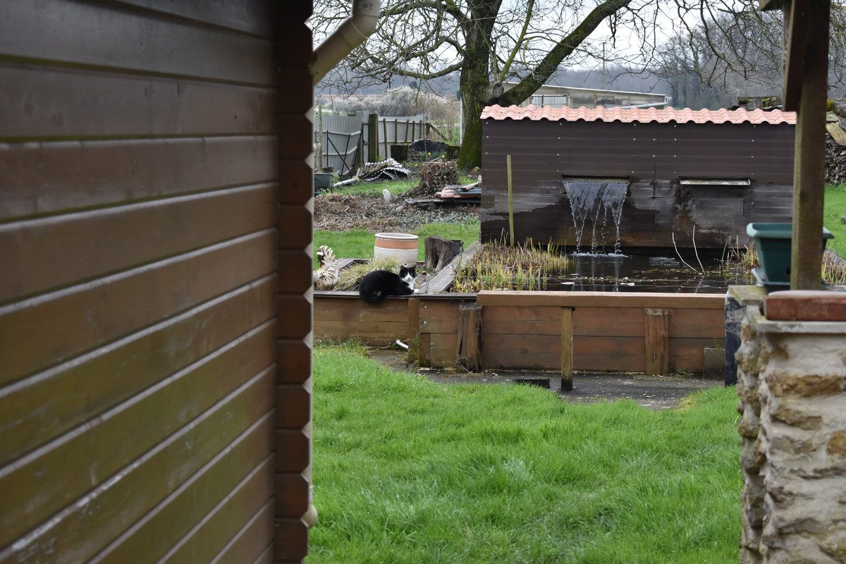 DSC_0002 - Copie (3)