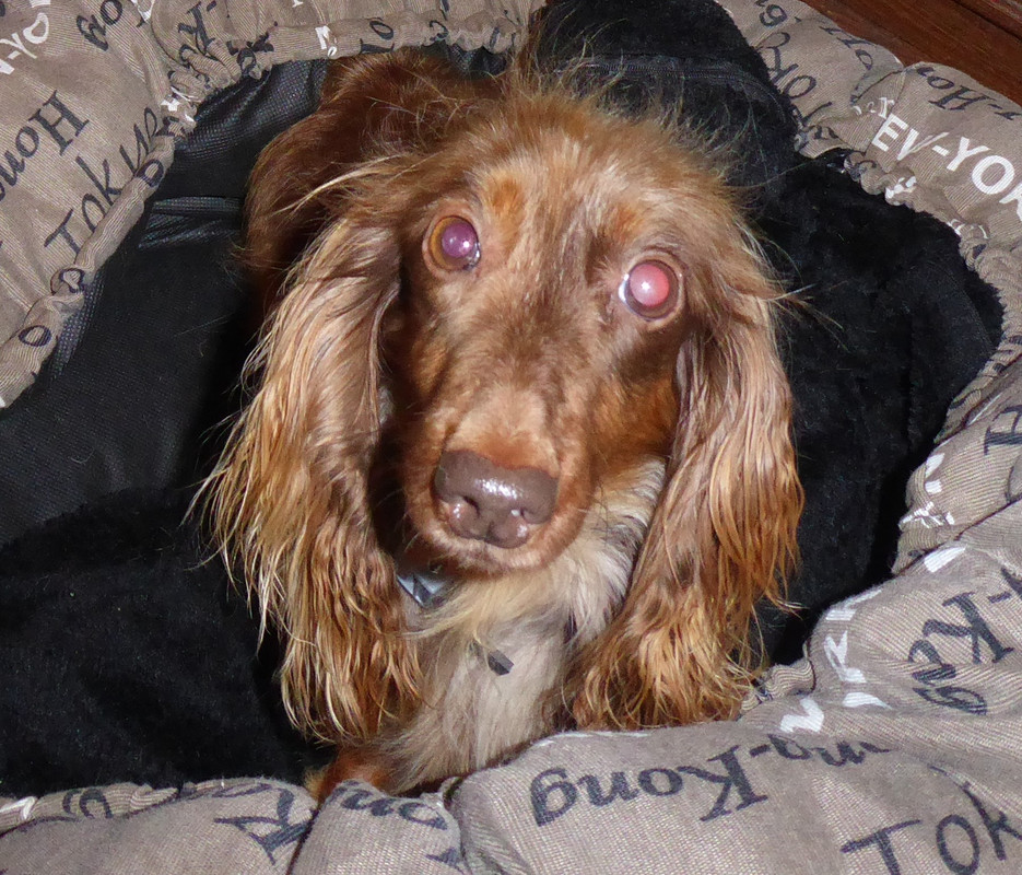 [Image: P1050500.jpg]