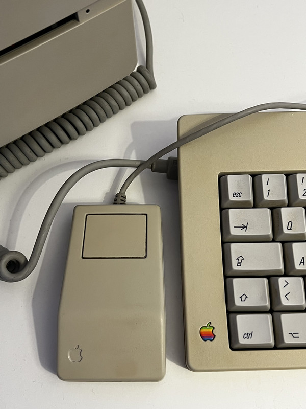 55 D5 B23 E 95 E8 4 BCE 9 CB6 6 EDB2 D8729 F2 — Postimages