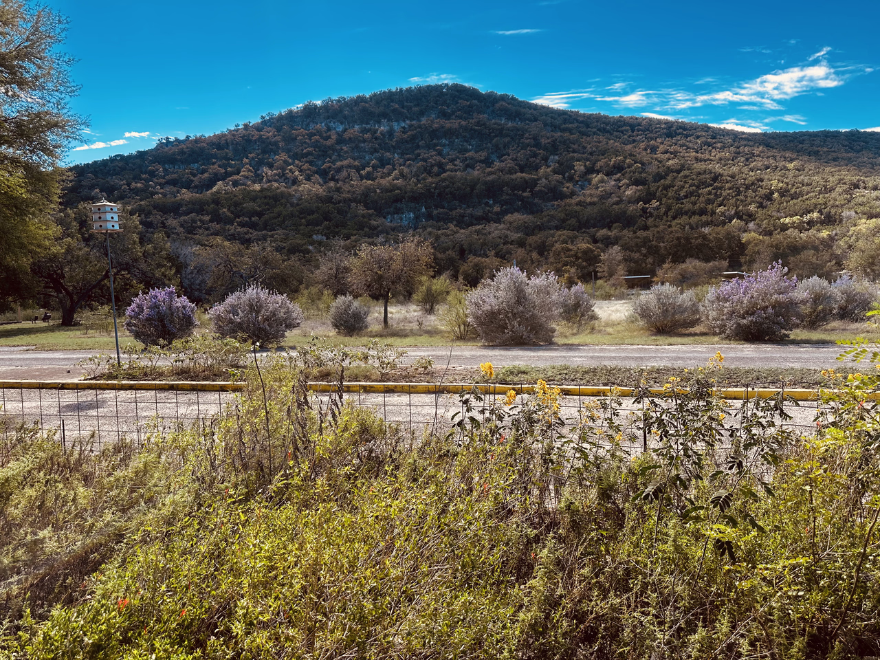 A garden facing a nearby mountain