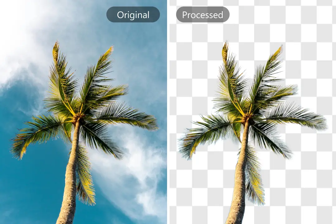Remove Image Background Online – Fast, Free & Accurate