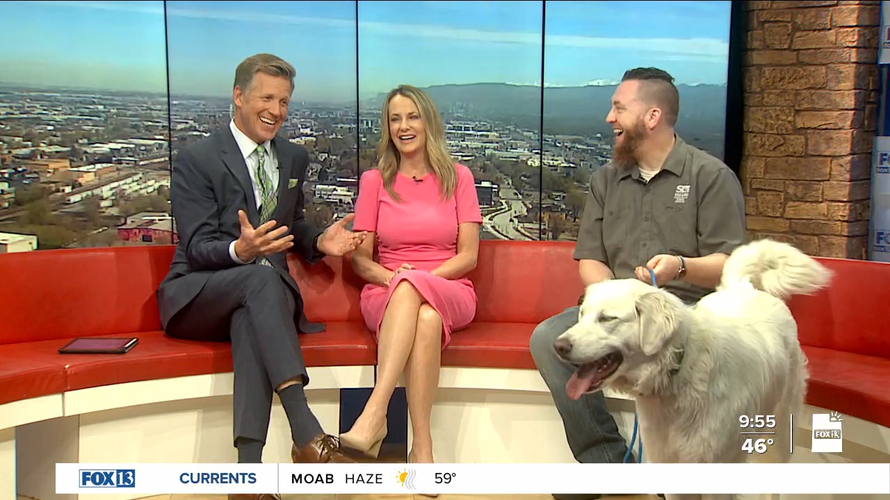 FOX13 News Good Day Utah 9AM_20240419_16001700.ts_snapshot_56.17.185