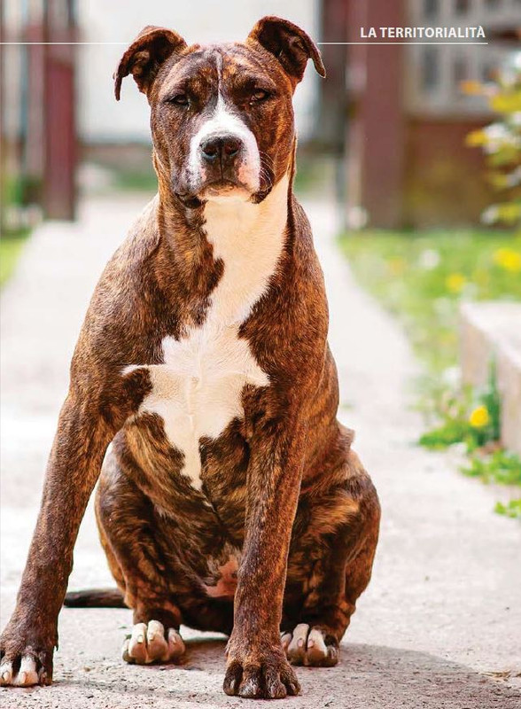 Il M C Ott-Nov 2023 (8)