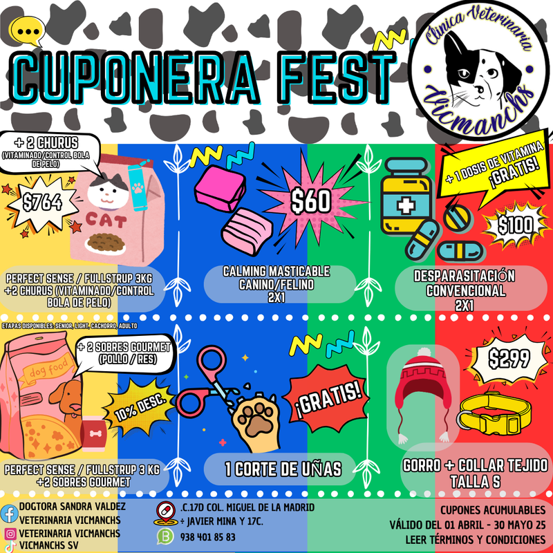 Colorful Retro Music Fest Flyer (Redes sociales)