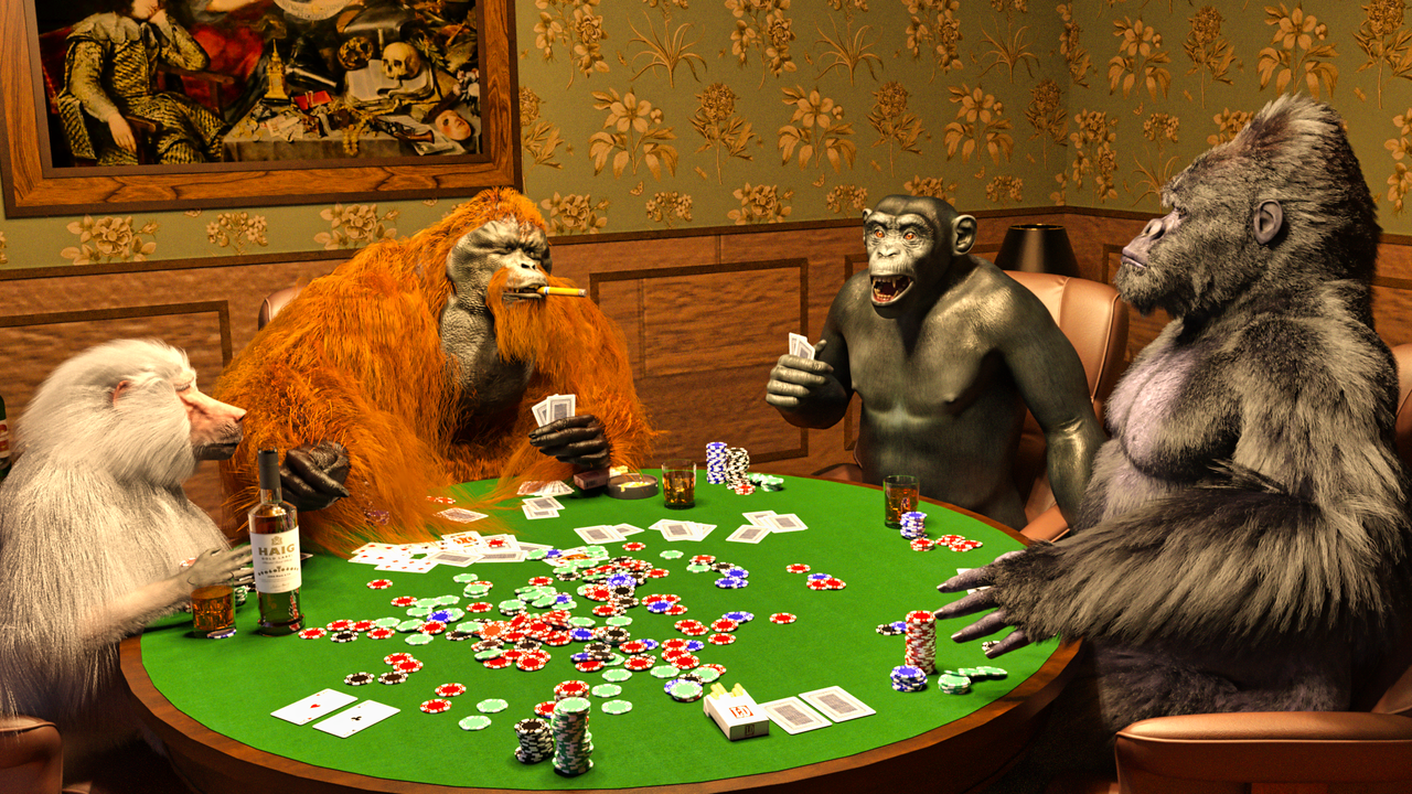 MonkeyPoker2