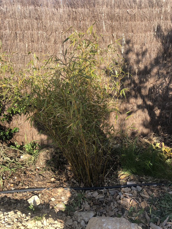 B1322909-F8FD-426A-AEC2-423D7EA38DBE