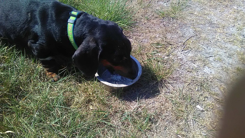 [Image: TomBal2.jpg]