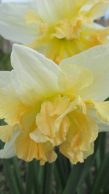011