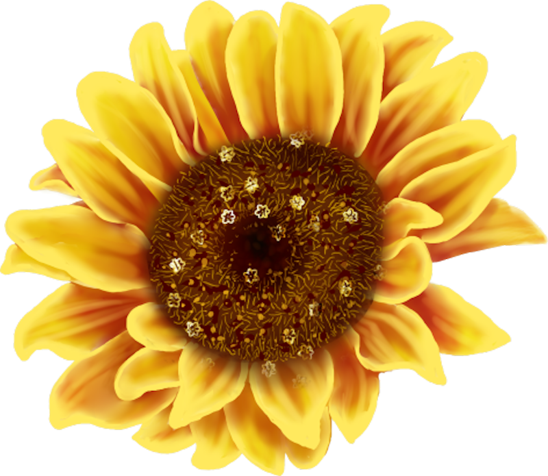 IPD_AH_Element (108)