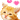 orange cat